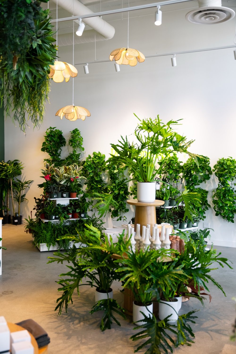 Penelope Pots — Southern California